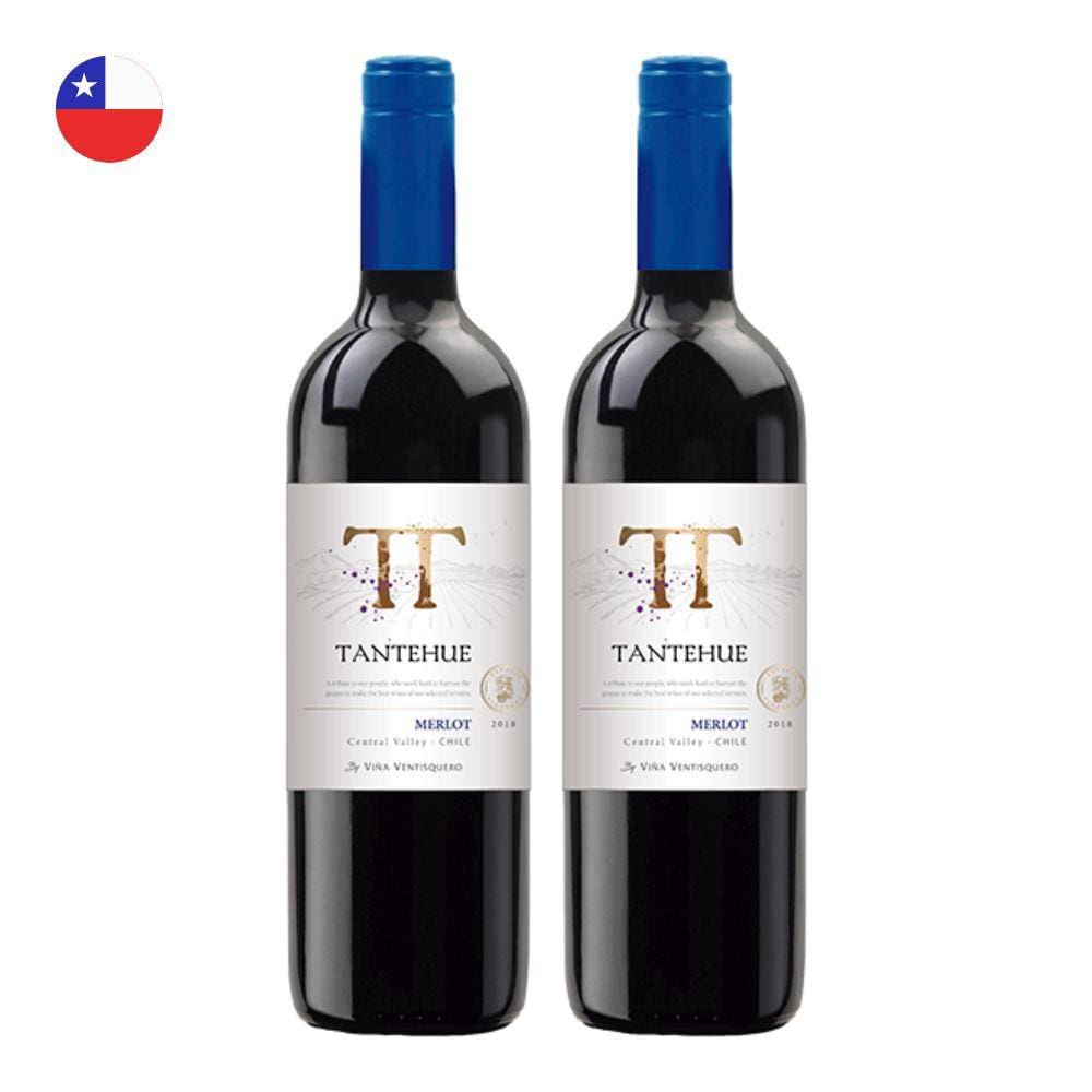 Kit 2 Vinhos Ventisquero Tantehue Merlot Tinto Chile 750ml