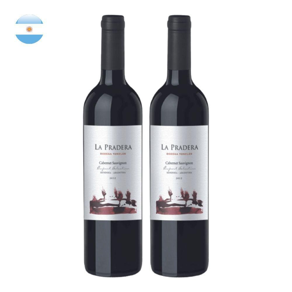 Kit 2 Vinhos La Pradera Cabernet Sauvignon Tinto Argentina 750ml