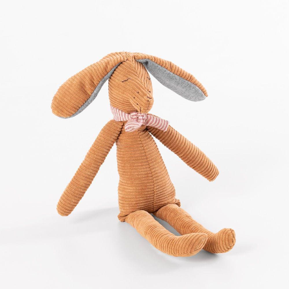 Cachorro Léo com Cachecol