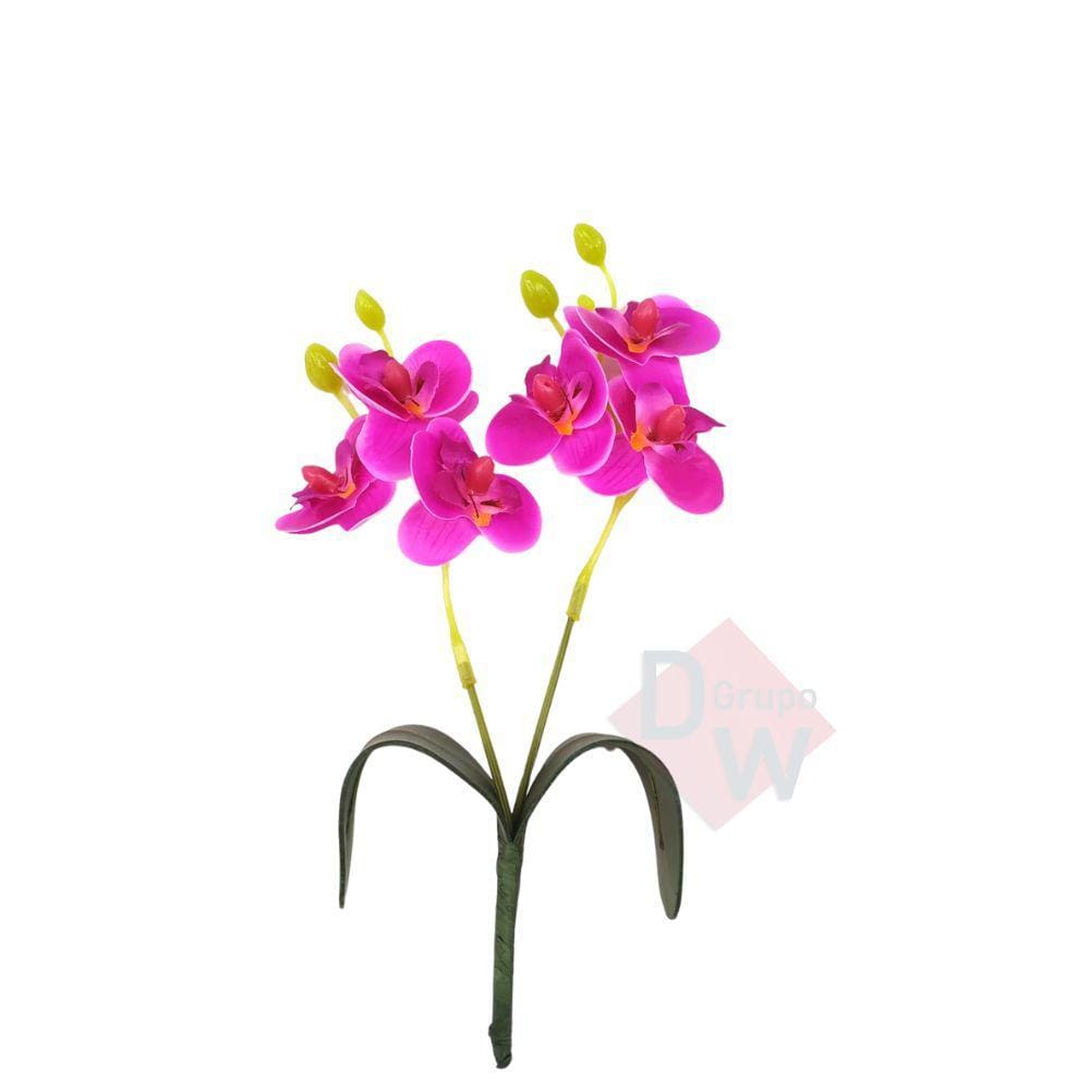 Mini Orquidea