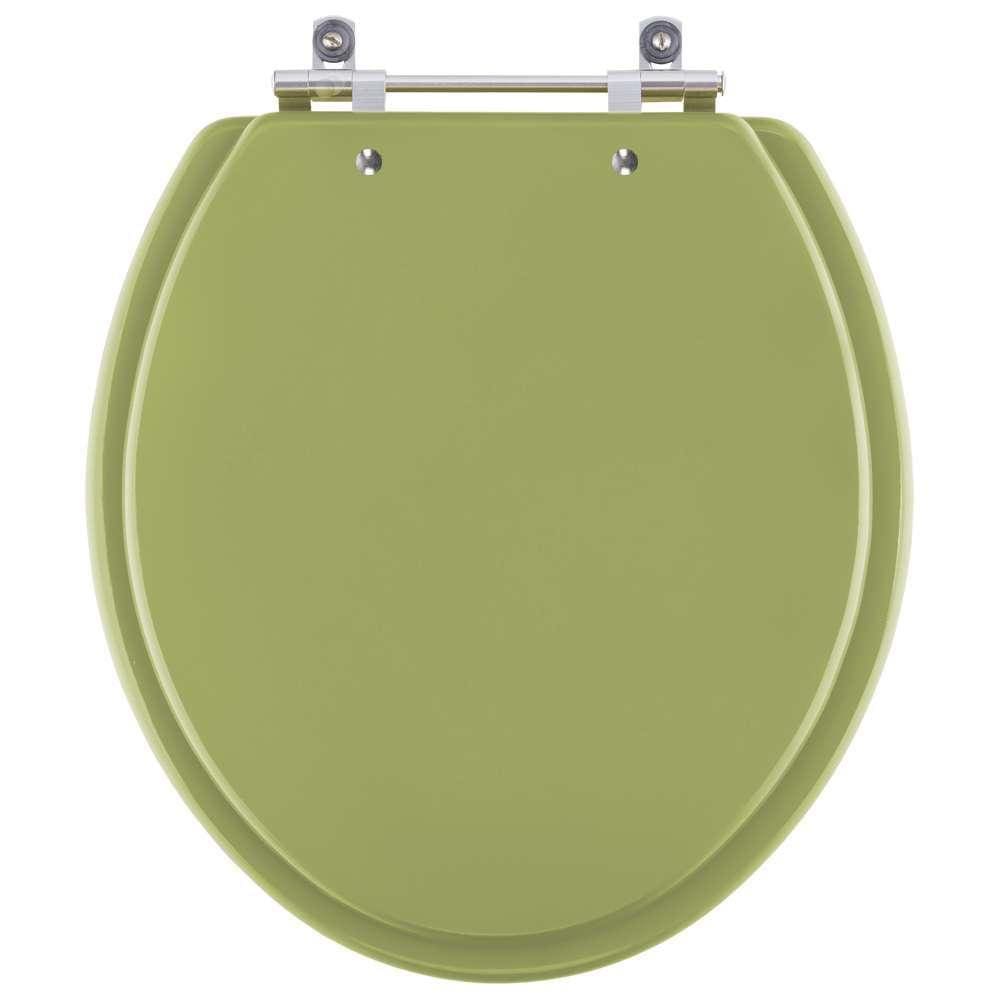 Assento Sanitário Azaléa Verde Itapoã para vaso Celite