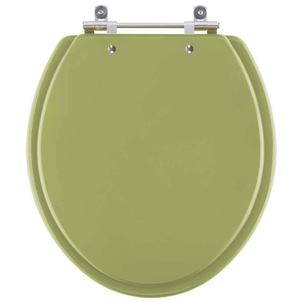 Assento Sanitário Azaléa Verde Itapoã para vaso Celite