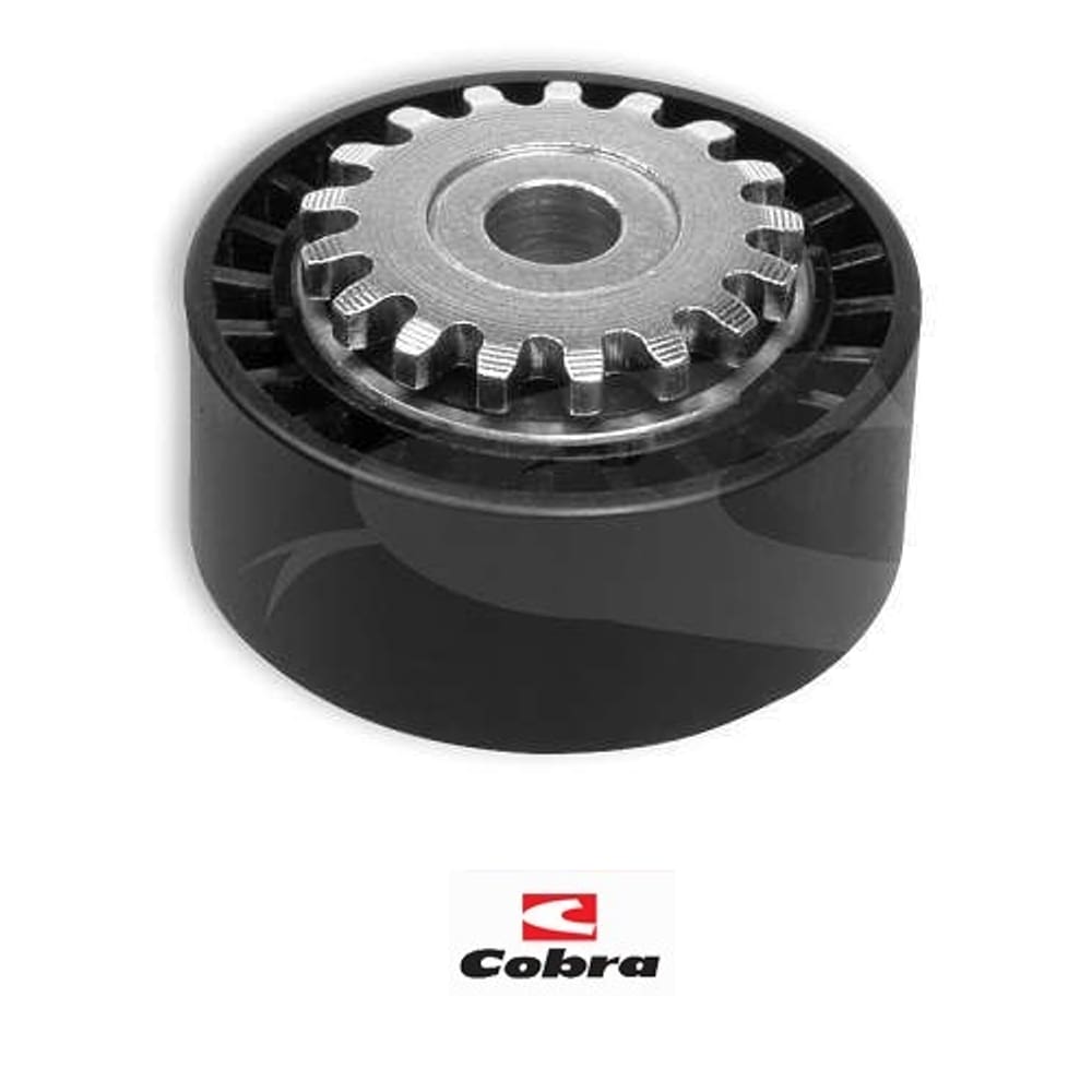 Polia Tensora Correia Alternador 206 Clio Sandero Twingo 6224