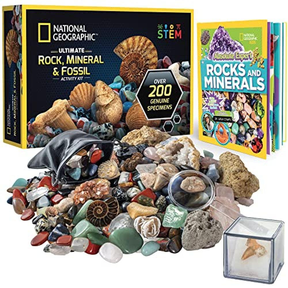 Kit de Minerais Realistas - 200+ Peças, Livro Expert