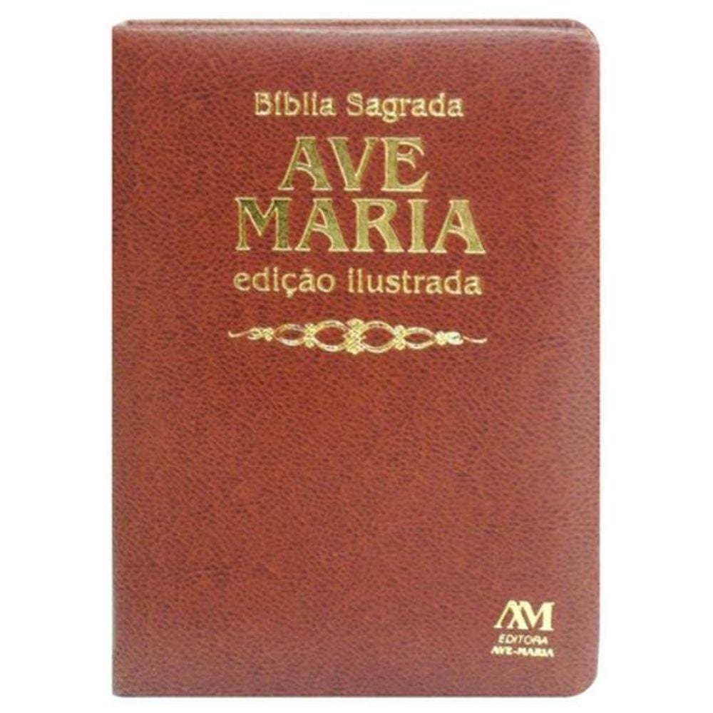 Bíblia Edição Ilustrada Luxo - Média - Marrom