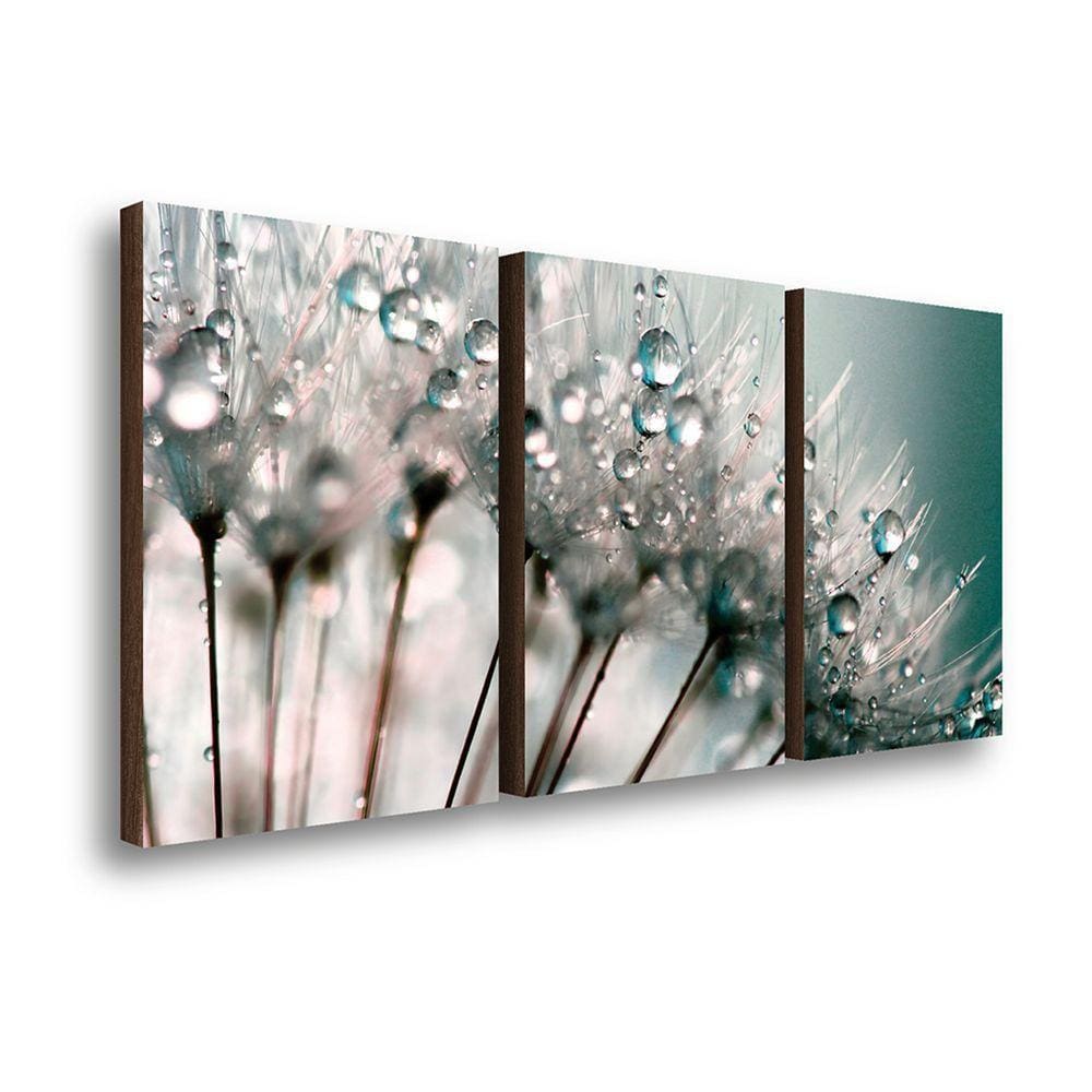 Kit 3 Quadros Decorativos Dente De Leão 40x60cm