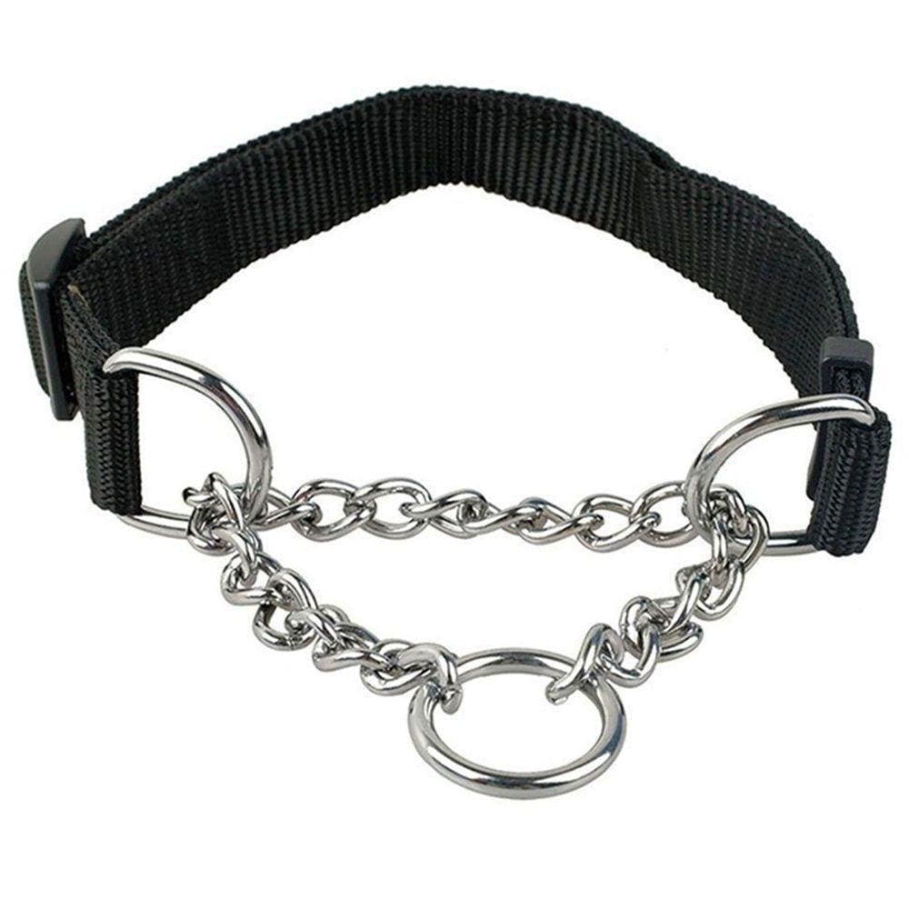 Coleira Cachorro Semi Enforcadora Ajustavel Nylon Cão 2.0 Cm