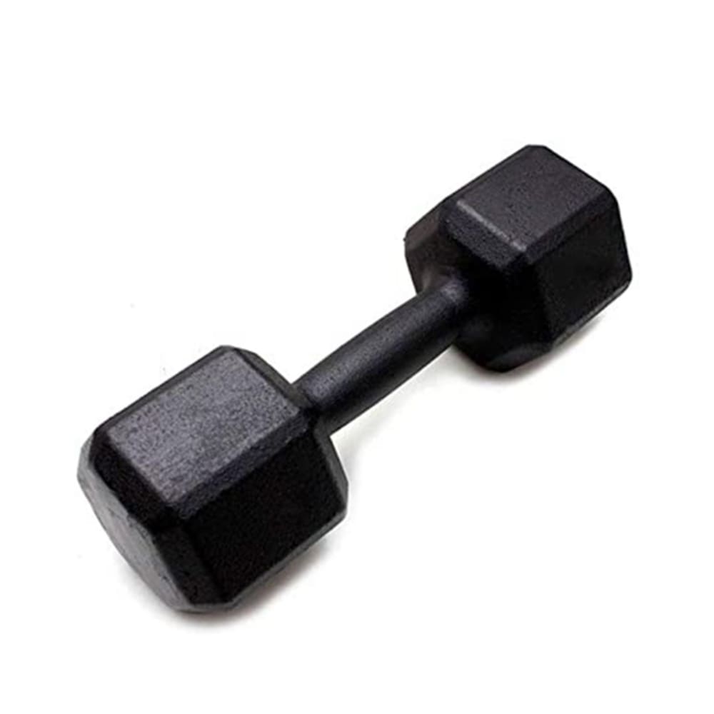Peso Halter Para Musculação 14kg Preto Ferro