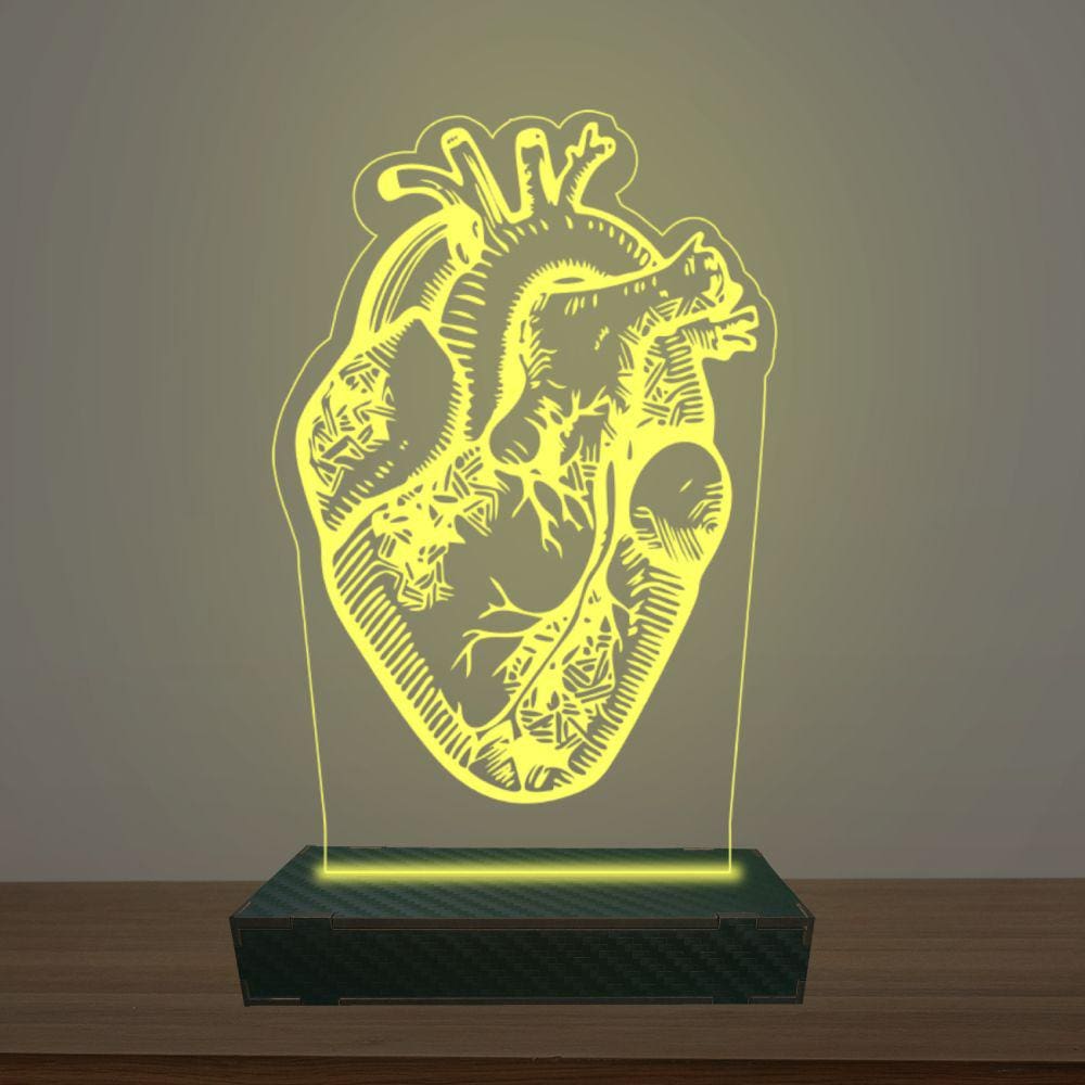 Luminária Led 3d Coração Anatomia Abajur Luxo