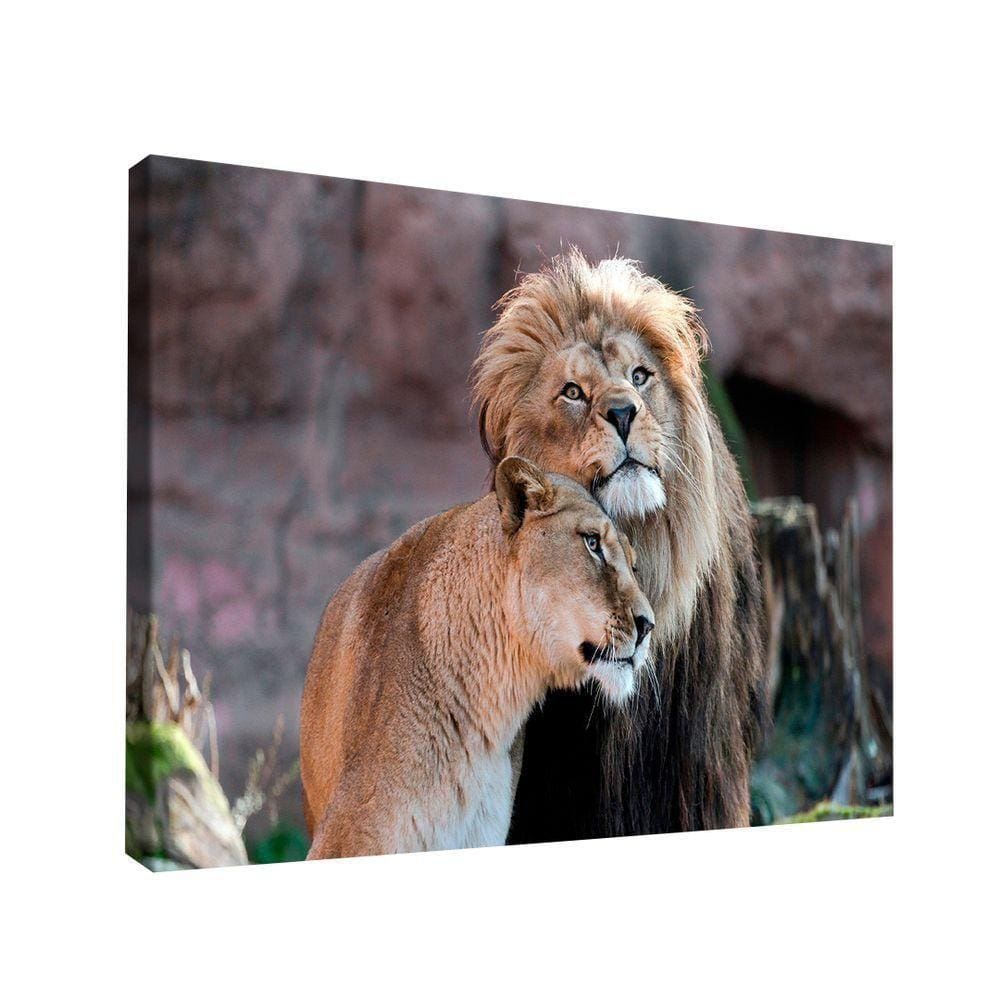 Quadro Amor De Leão Br Artes Médio 84x54