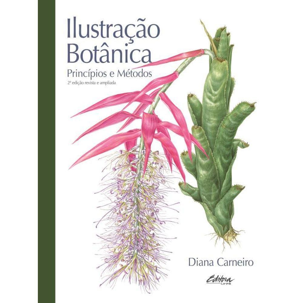 Ilustração Botânica