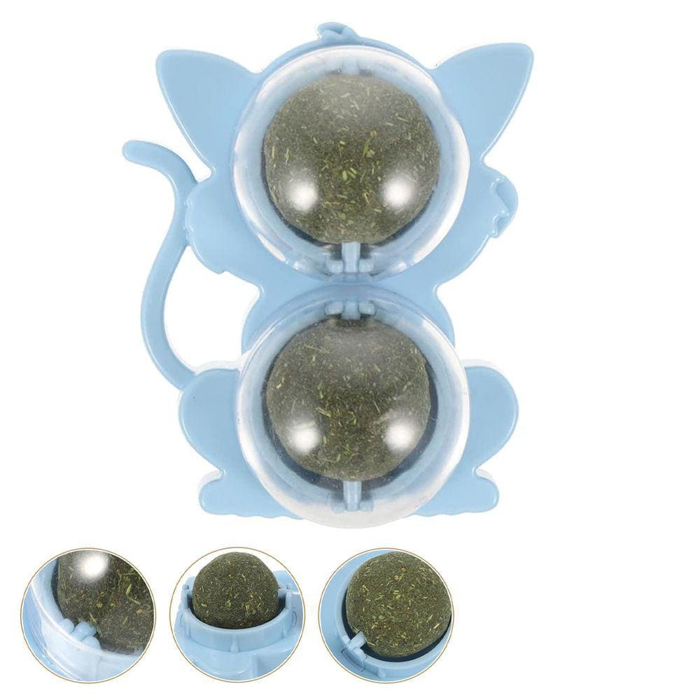 Brinquedo Erva de Gato Pet Interativo Natural Catnip Animal de Estimacao Chao Parede