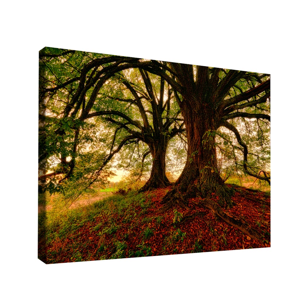 QUADRO DECORATIVO ÁRVORE MEU ESCONDERIJO Grande 118x78