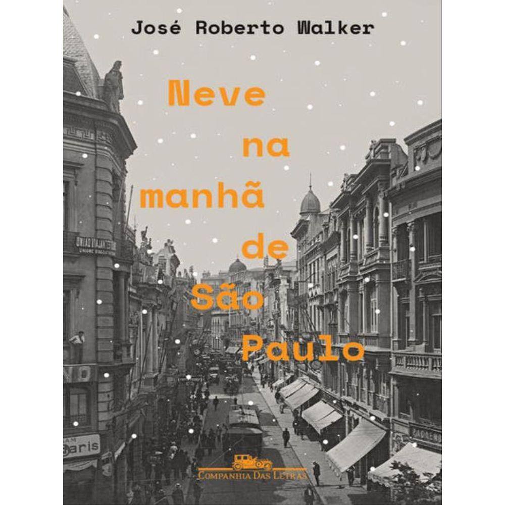 Neve Na Manhã De São Paulo