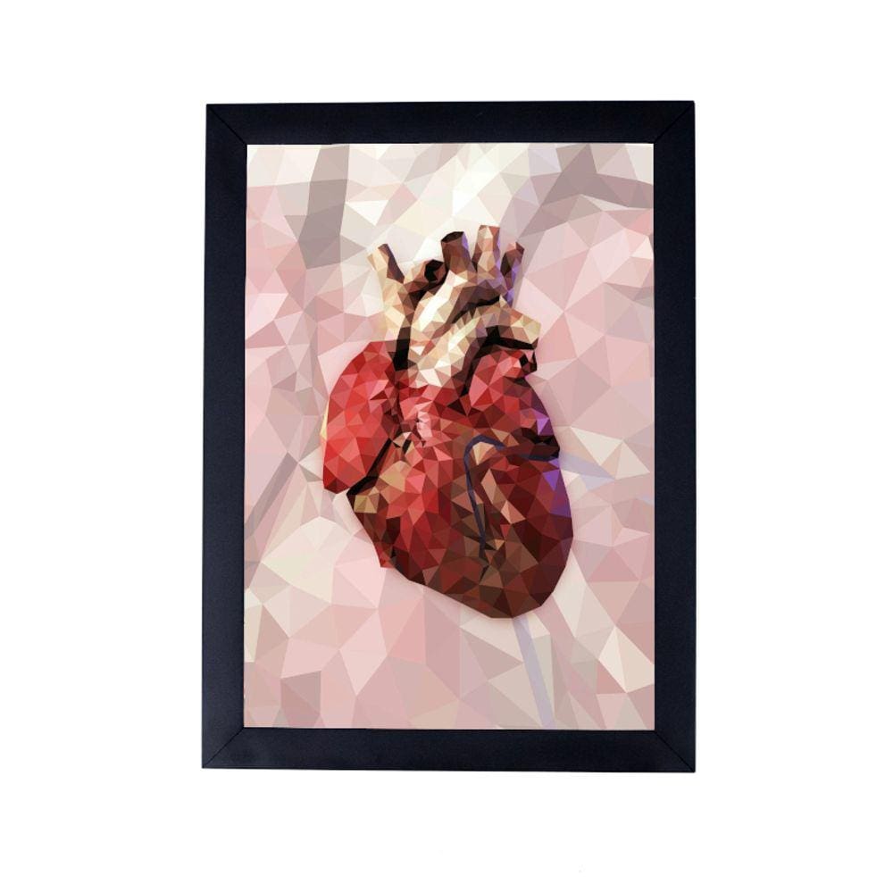 Quadro 24X33 abstrata medicina coração anatomia P8425