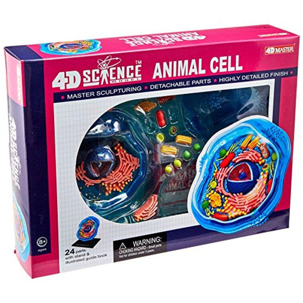 Famemaster 4D-Science Animal Cell Anatomy Modelo Coral, Preto, Verde Hortelã, Bege, Ouro, Rosa Ouro