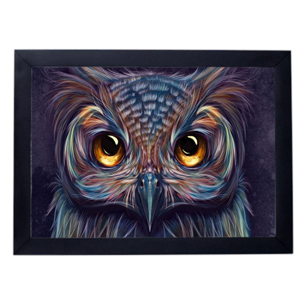 Lindo quadro 24X33 quarto sala coruja p8481