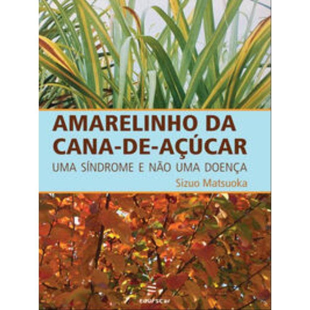 Amarelinho Da Cana-De-Açúcar