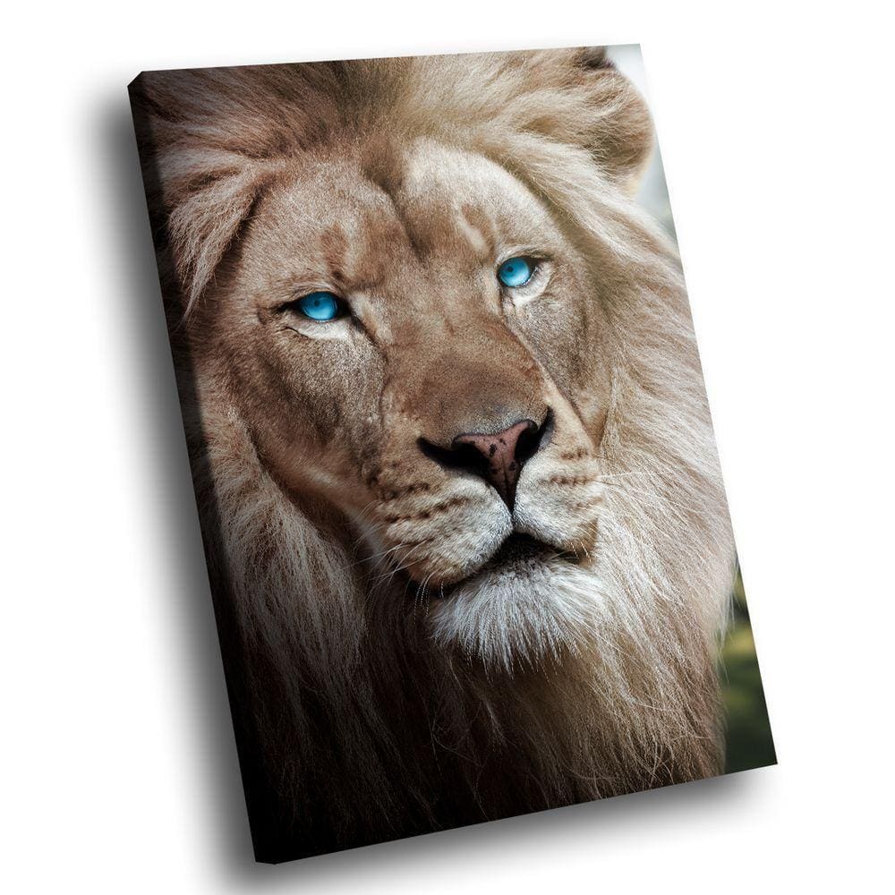 Quadro Leão Olhos Azuis Br Artes Grande 118x78
