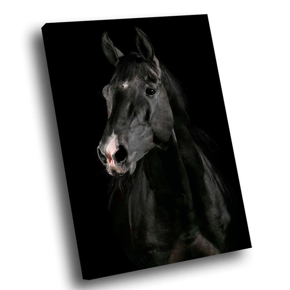 Quadro Cavalo Preto Br Artes Grande 118x78