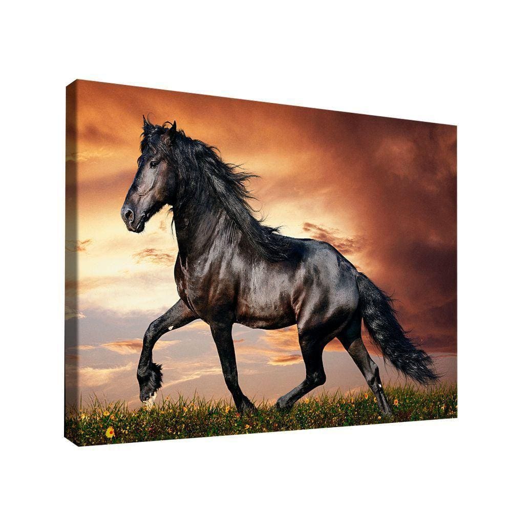 Quadro Cavalo Rei Br Artes Grande 118x78