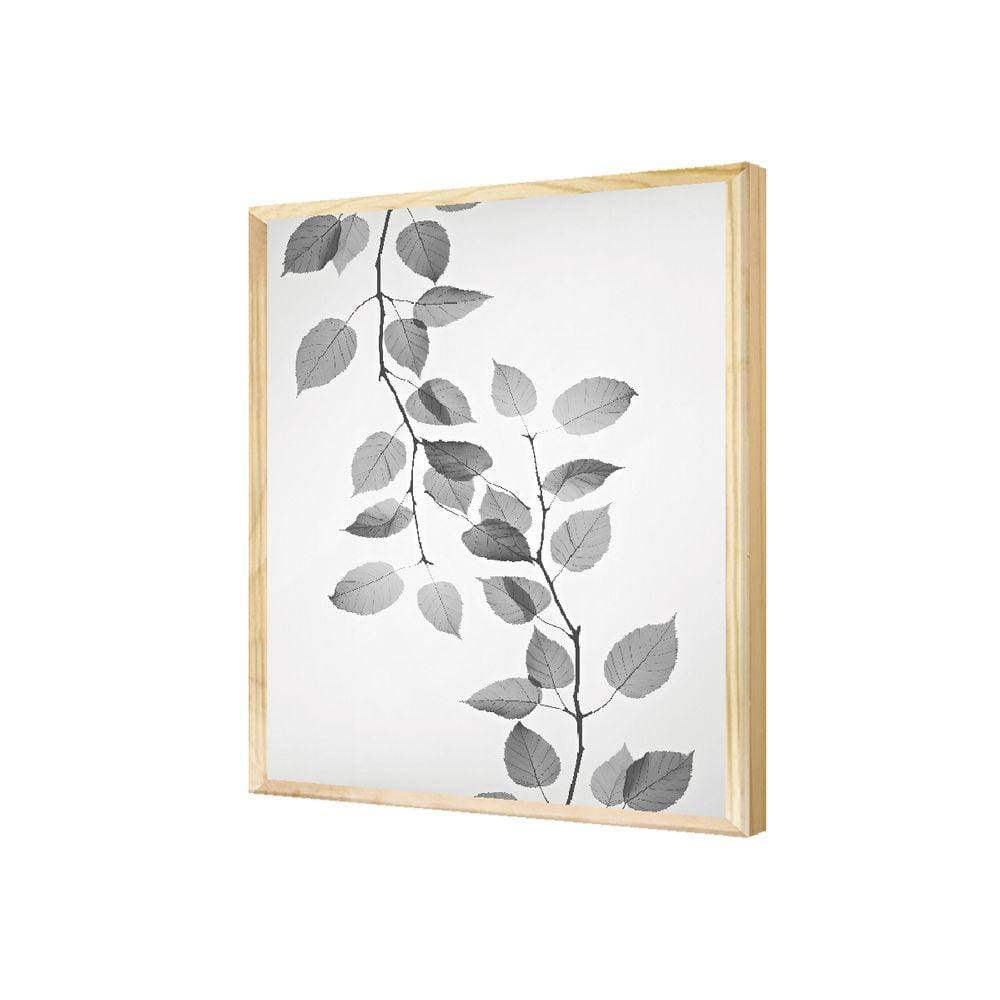 Quadro Ramos Folhagens Cinza Planta Jardim Preto e Branco
