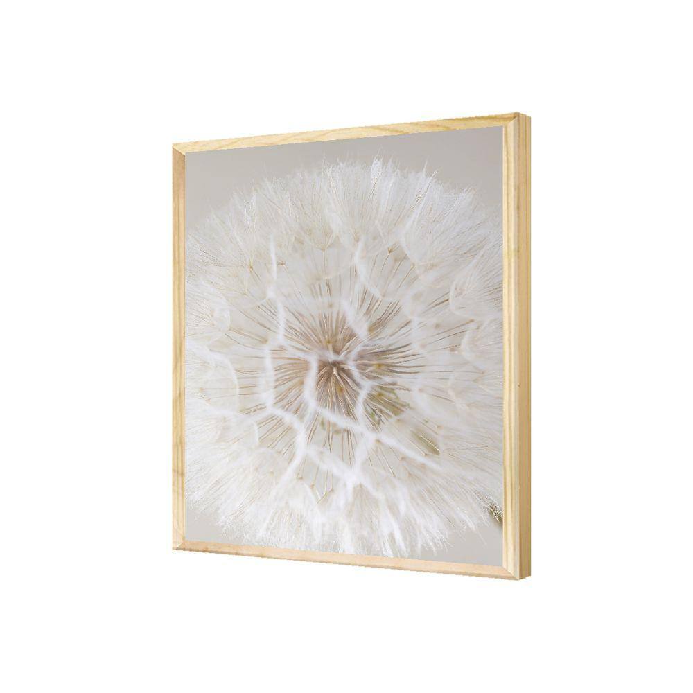 Quadro Branco Minimalista Dente de Leão Planta Jardim