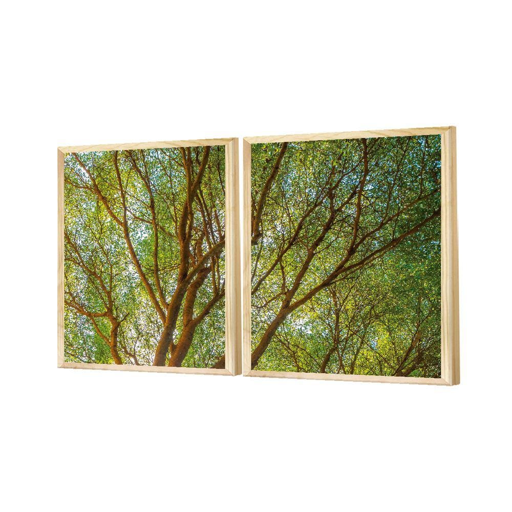 Dupla Quadros Decorativos Árvore Plantas Natureza Paisagem