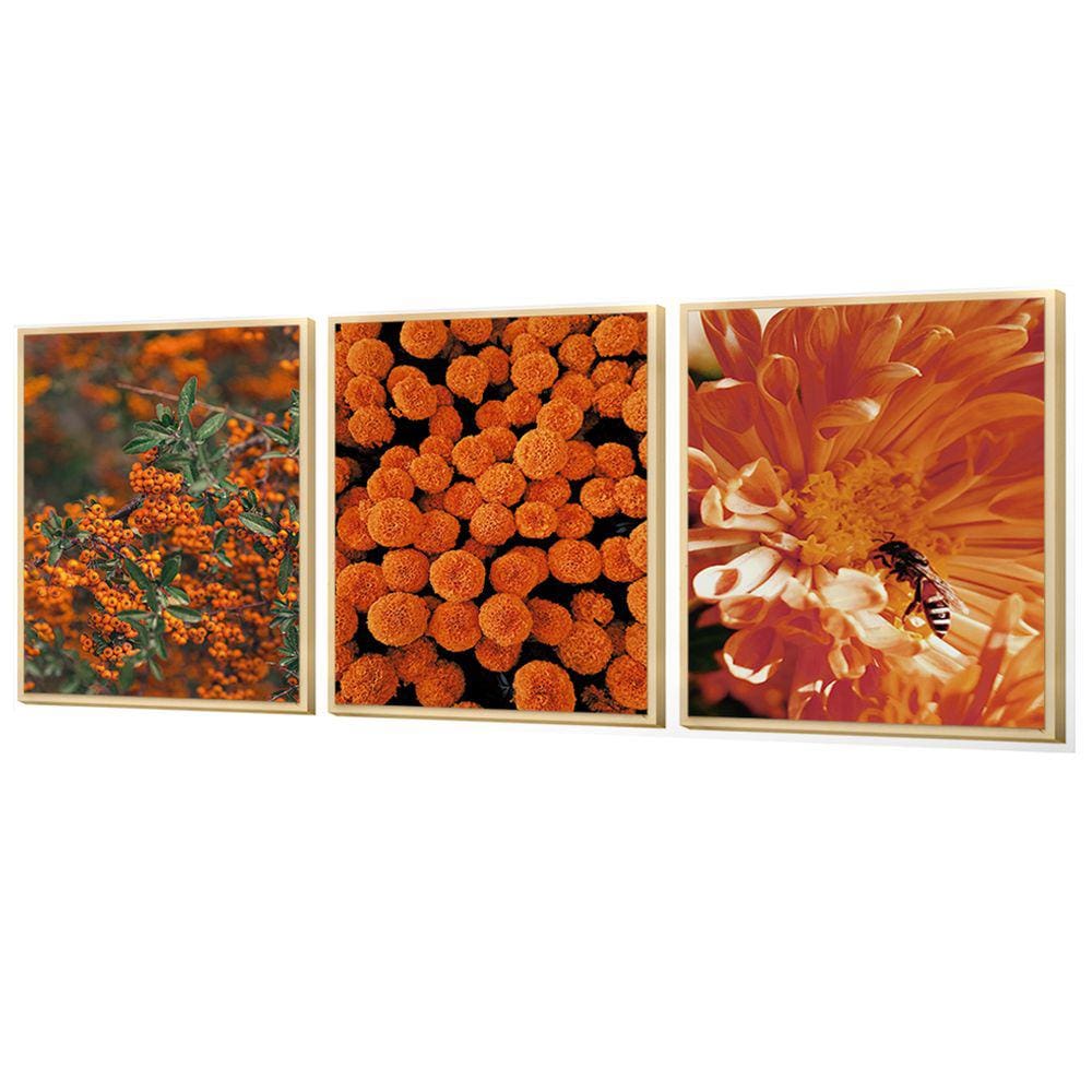 Kit 3 Quadros Decorativos Folhagens Flores Laranja Sala