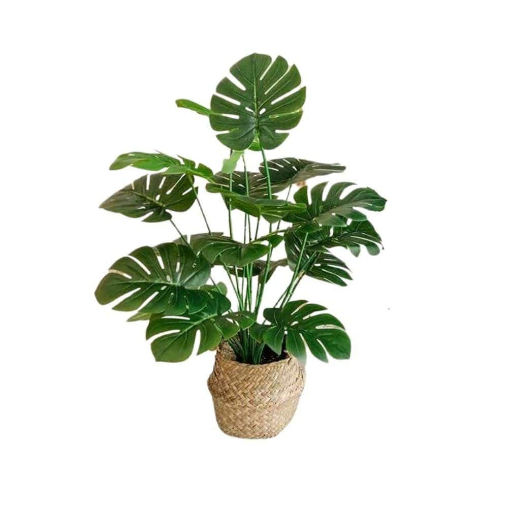 Planta Artificial Costela de Adão