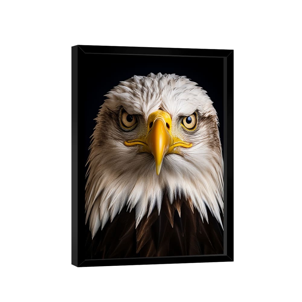 Quadro Águia de Cabeça Branca -- BR ARTES