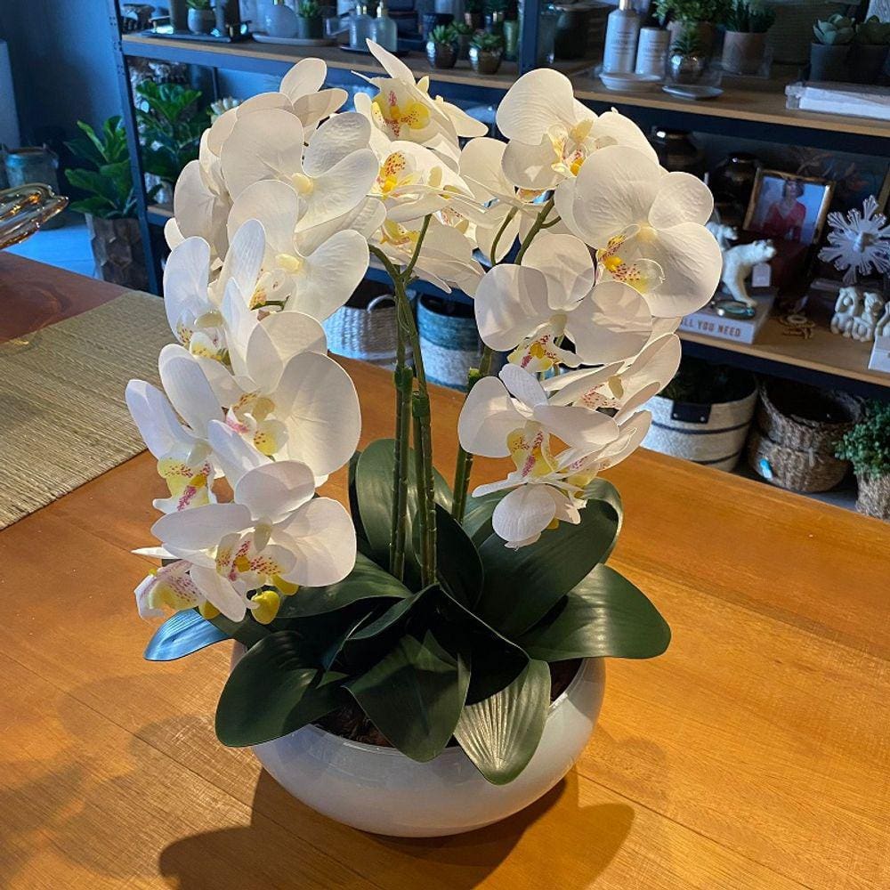 Arranjo Grande Centro de Mesa 3 Orquídeas Branca 3d Vaso Branco