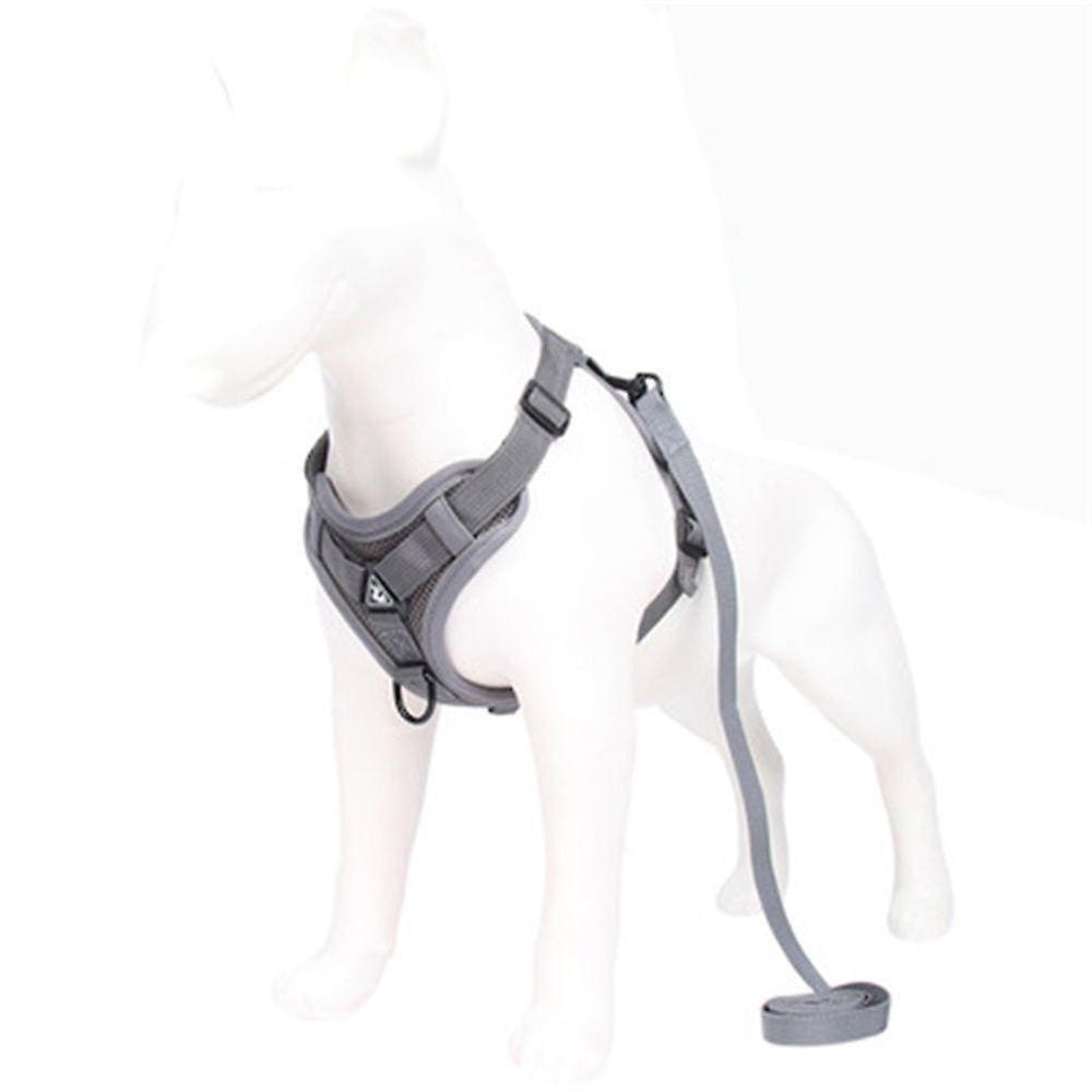 Cão pequeno respirável Arre aproveita coleira andando cão de coleira vest-s