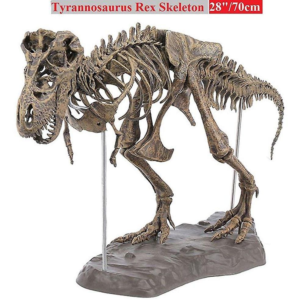 Tiranossauro Rex Esqueleto Dinossauro Animal Colecionador Decoração M