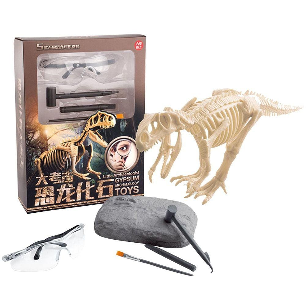 Brinquedo de fóssil de dinossauro Brinquedo educativo de escavação arqueológica