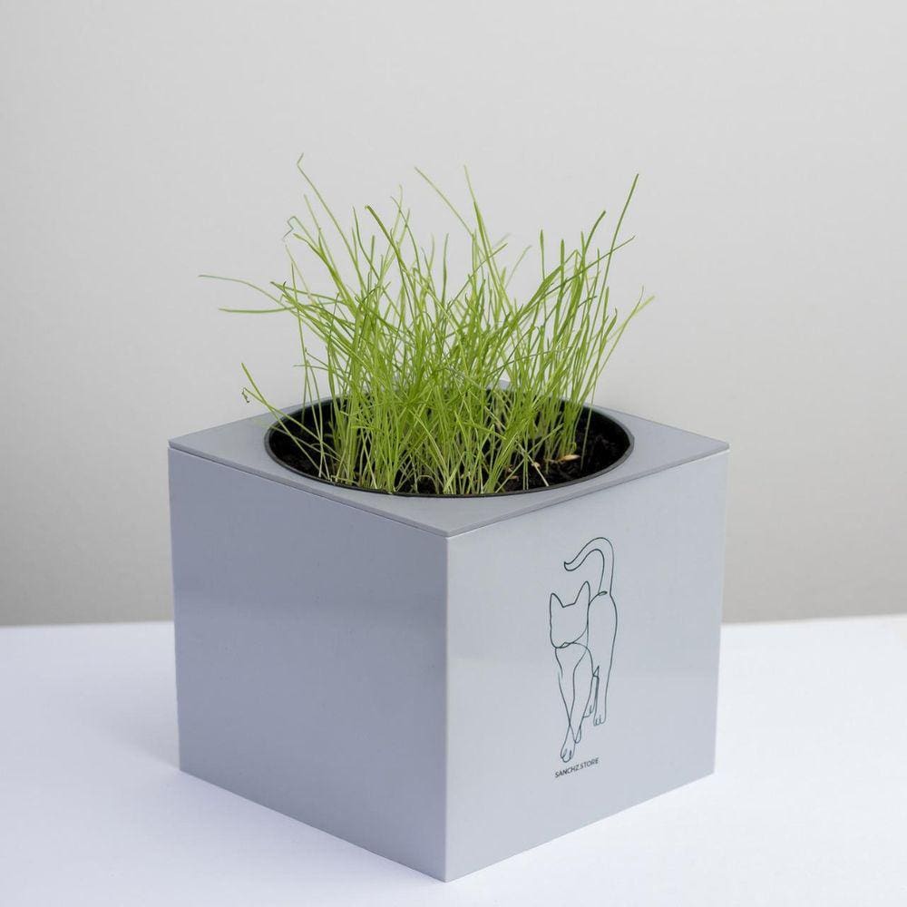 Kit Gatos Vaso Autoirrigável + Erva - Cinza Claro - 10cm