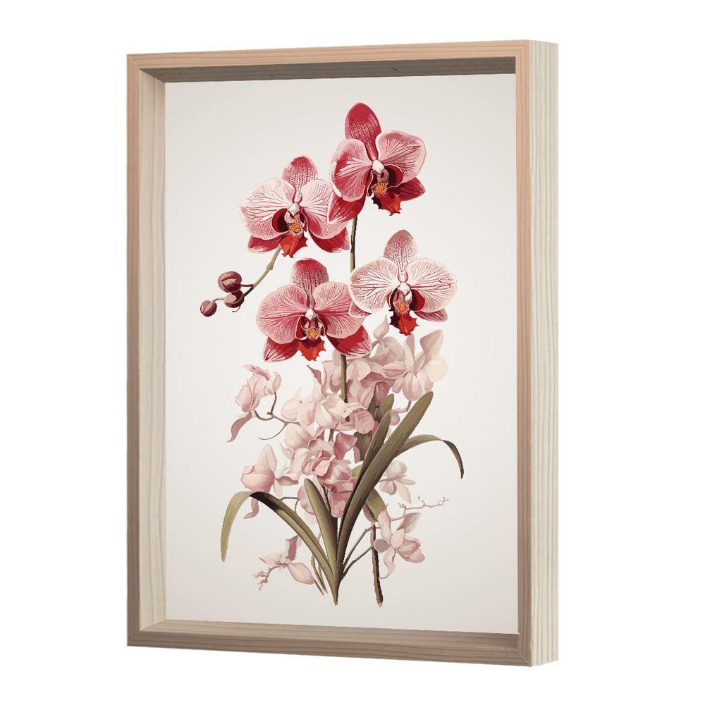 Quadro Decorativo Moderno Flor Orquídea Rosa Planta Natureza