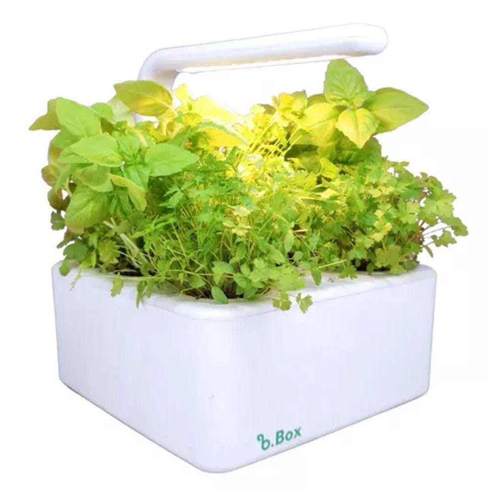 Kit Horta Inteligente E Sementes - Com Autoirrigação E Led