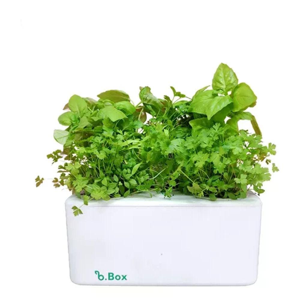 Kit Horta Inteligente E Sementes - Com Autoirrigação