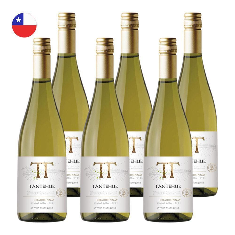Kit 6 Vinhos Ventisquero Tantehue Chardonnay Branco Chile 750ml
