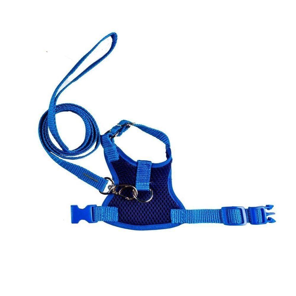 Coleira Peitoral Azul PP - Nicapet