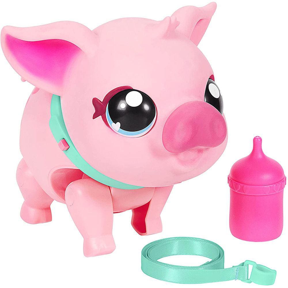 Meu porco de estimação: Porquinho