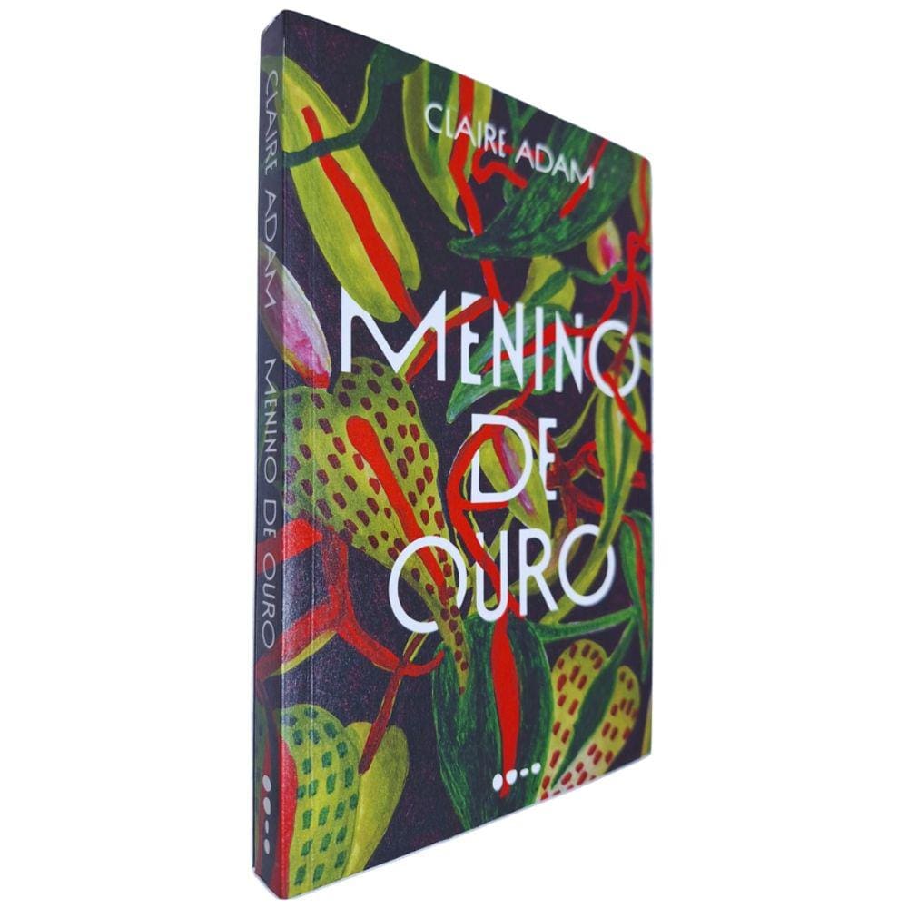 Livro Físico Menino de Ouro Claire Adam