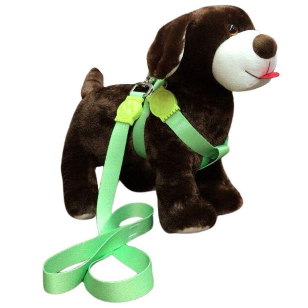 Coleira Peitoral Americano Premium 25mm Verde Nº 4 | Nicapet