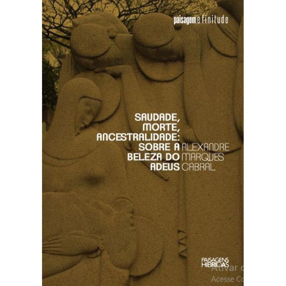 Saudade, morte, ancestralidade: sobre a beleza do adeus - Série Paisagem e finitude - Vol. 2