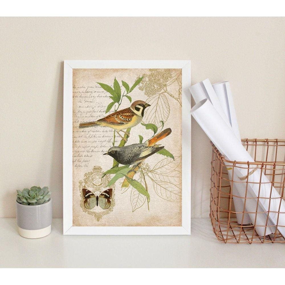 Quadro Pássaros Vintage Botânica 33x24cm c/ Vidro