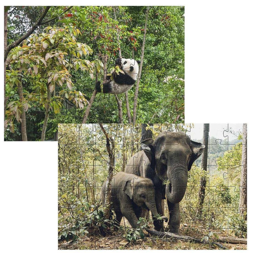 Kit 2 Quebra-Cabeças Atividades Animais Da Floresta 24 Peças