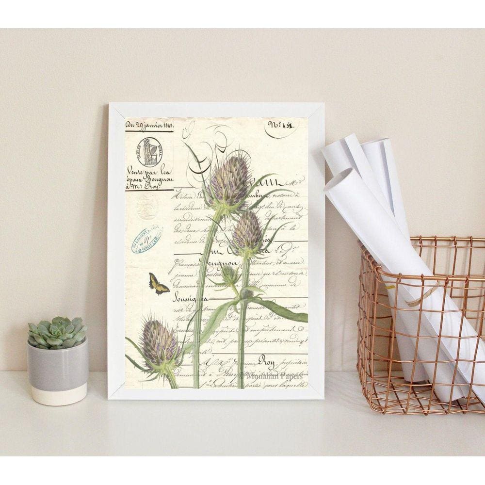 Quadro Vintage Retrô Botânica 33x24cm - Moldura Branca