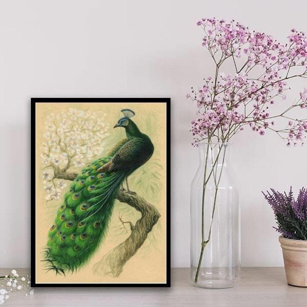 Quadro Decorativo Pássaro Pavão 45X34Cm - Vidro Branca