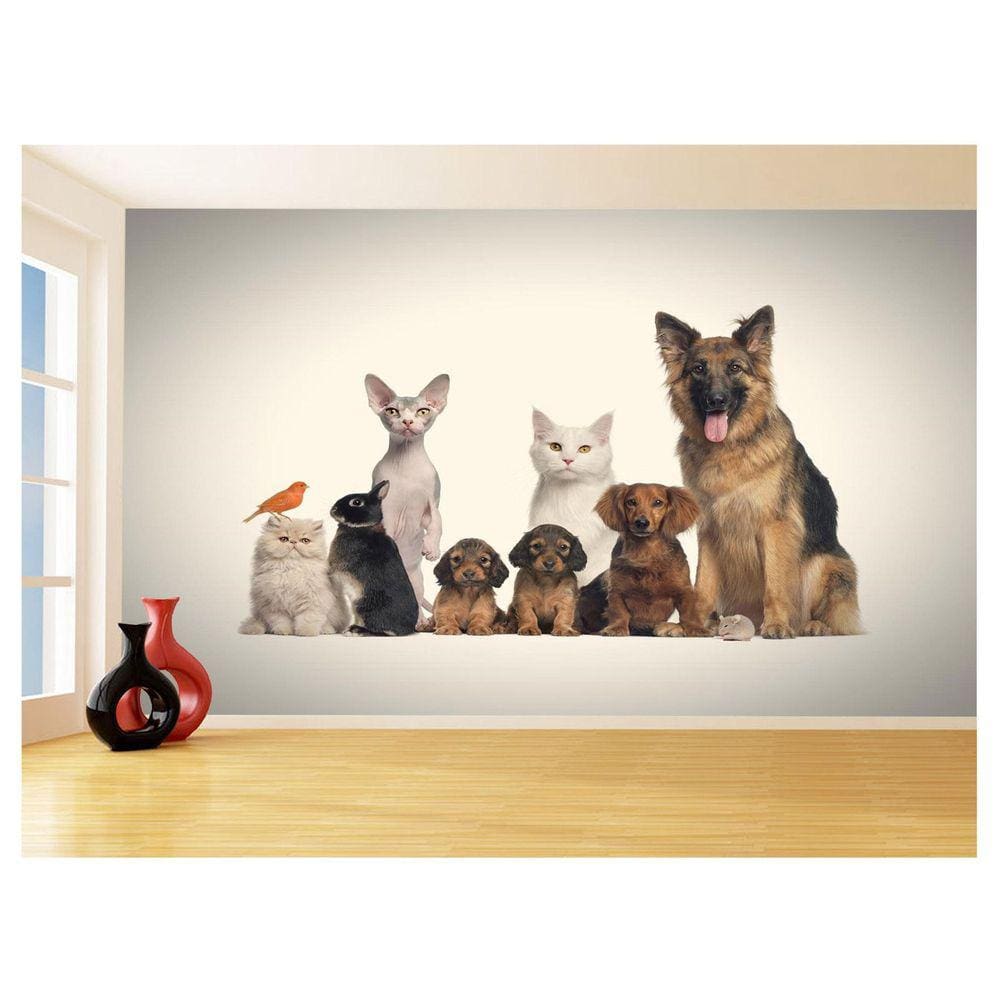 Papel De Parede 3D Animais Cão Gato Petshop 3,5M Anm422